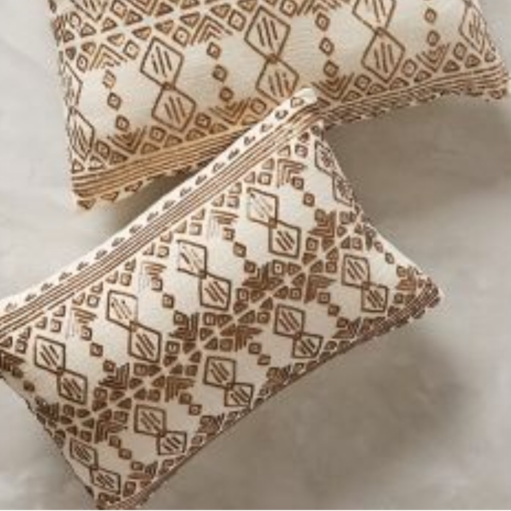 Anthropologie Shimmered Nescio Pillows (2)